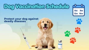 dog-vaccination -schedule